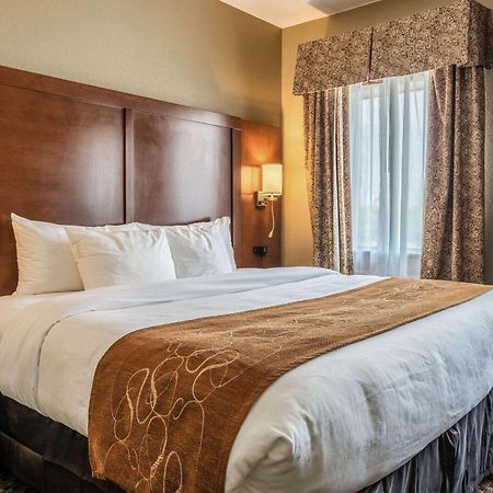 Comfort Suites Near Texas State University San Marcos Kültér fotó