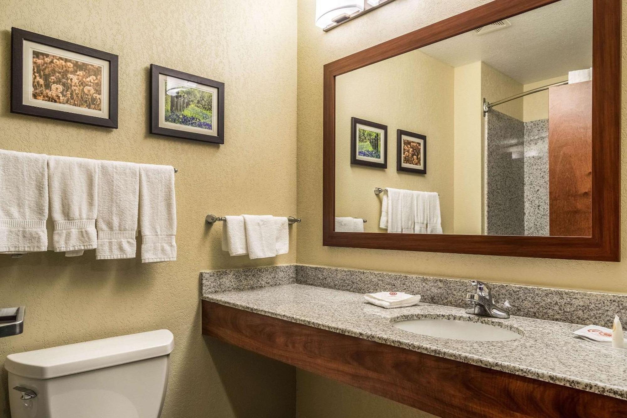 Comfort Suites Near Texas State University San Marcos Kültér fotó